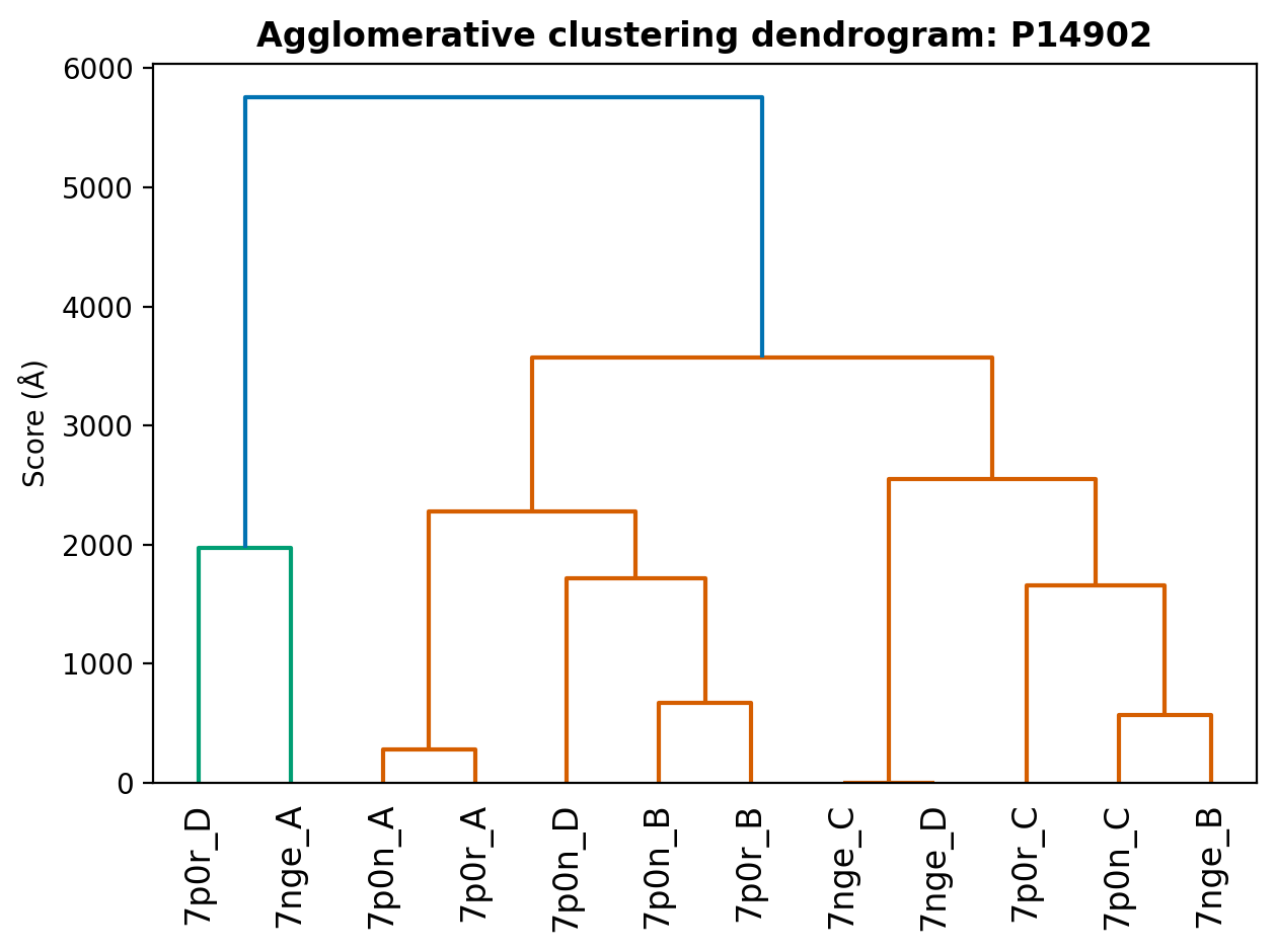 Dendrogram of clustered UniProt:P14902 chains, via UPGMA agglomerative clustering